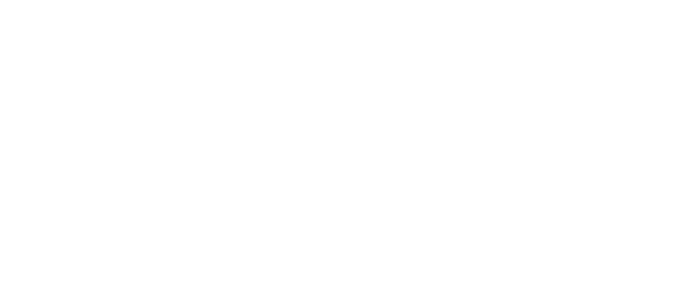 SEGIZ